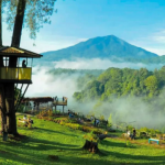 Bukittinggi Kota Wisata Cantik dengan Panorama Alam Spektakuler