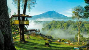 Bukittinggi Kota Wisata Cantik dengan Panorama Alam Spektakuler