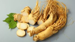 Peluang Bisnis Ginseng Jawa
