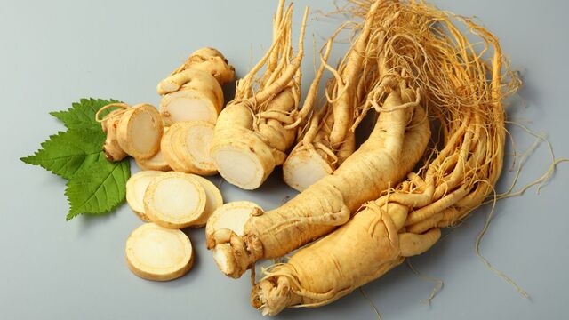 Peluang Bisnis Ginseng Jawa